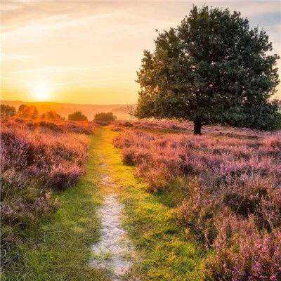 天博官网新版app下载安装教程